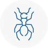 Ant Removals In Brompton