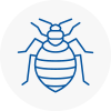 Bed Bug Extermination In Brompton