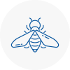 Bee Nest Removal Brompton