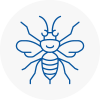 Brompton Hornet Nest Removals