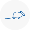 Mice Exterminators In Brompton