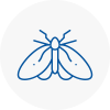 Moth Control Specialists In Brompton
