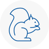 Brompton Rodent Removals