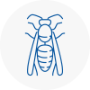 Brompton Wasp Nest Removal